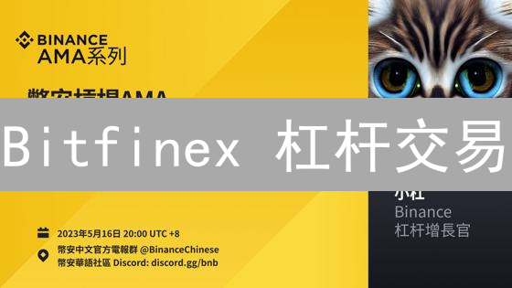 Bitfinex 杠杆交易：3 大优势与 7 个风险警示【2024 最新指南】
