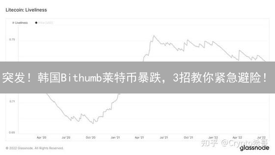 突发！韩国Bithumb莱特币暴跌，3招教你紧急避险！
