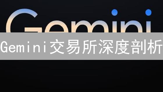 Gemini交易所深度剖析：安全、多元与未来的加密新选择？