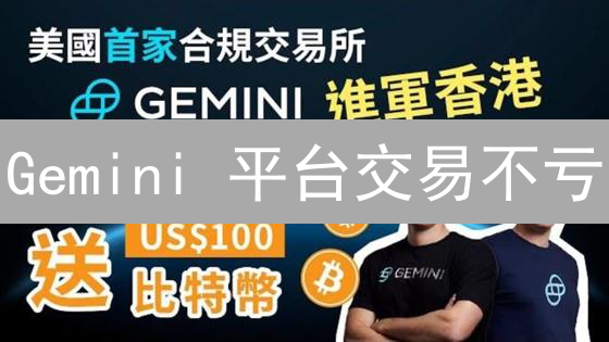 Gemini 平台交易不亏？2024 最新避坑指南与盈利策略