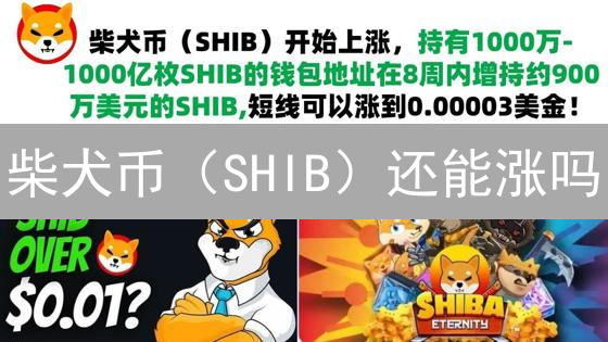 柴犬币（SHIB）还能涨吗？社区驱动下的投资机会与风险？