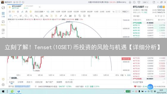 立刻了解！Tenset(10SET)币投资的风险与机遇【详细分析】